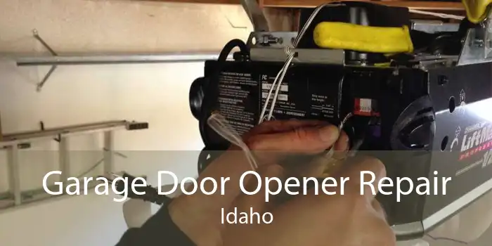 Garage Door Opener Repair Idaho