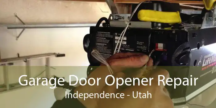 Garage Door Opener Repair Independence - Utah
