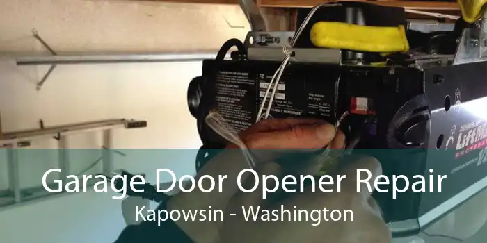 Garage Door Opener Repair Kapowsin - Washington