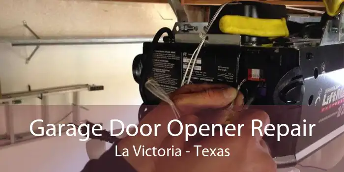 Garage Door Opener Repair La Victoria - Texas