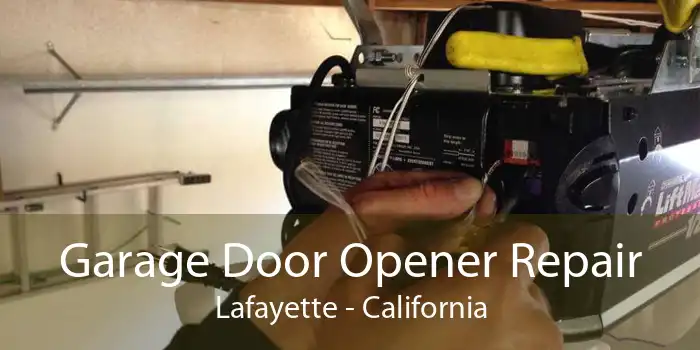 Garage Door Opener Repair Lafayette - California