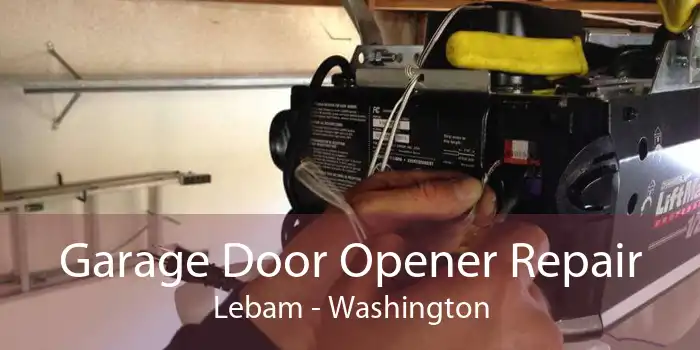 Garage Door Opener Repair Lebam - Washington