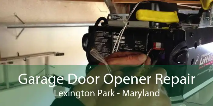 Garage Door Opener Repair Lexington Park - Maryland