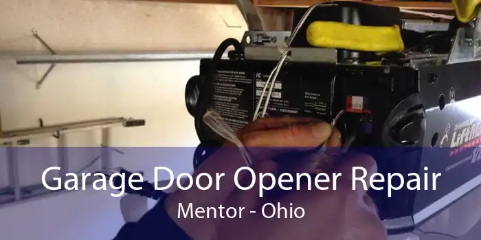 Garage Door Opener Repair Mentor - Ohio