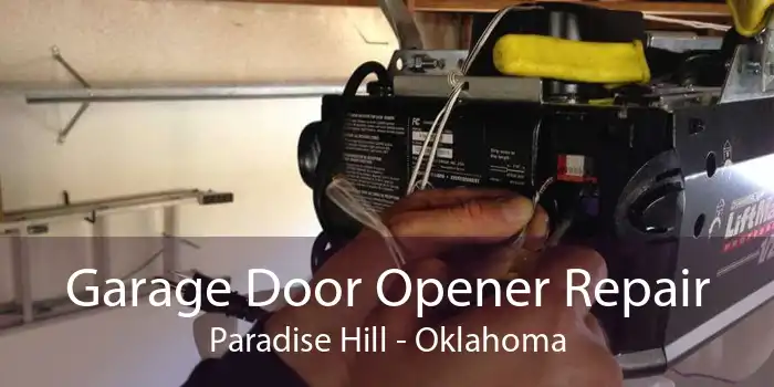 Garage Door Opener Repair Paradise Hill - Oklahoma