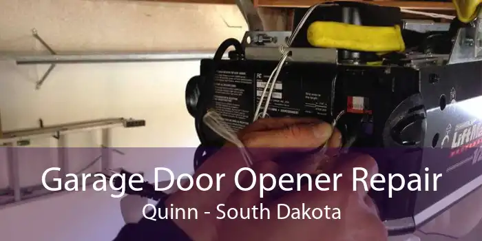 Garage Door Opener Repair Quinn - South Dakota