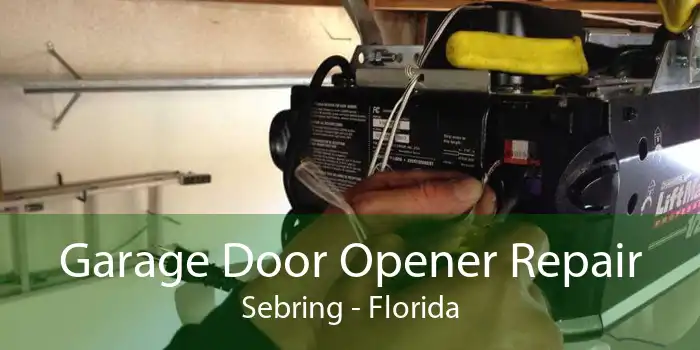 Garage Door Opener Repair Sebring - Florida