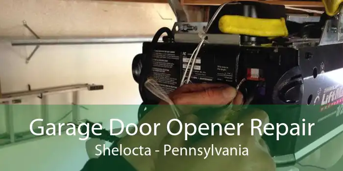 Garage Door Opener Repair Shelocta - Pennsylvania