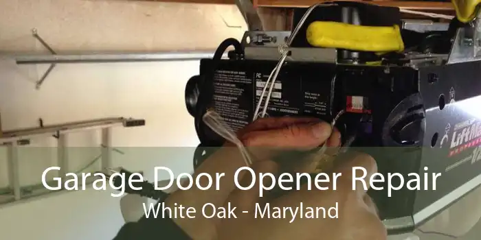 Garage Door Opener Repair White Oak - Maryland