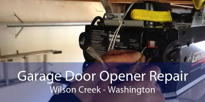 Garage Door Opener Repair Wilson Creek - Washington