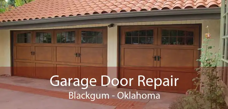 Garage Door Repair Blackgum - Oklahoma