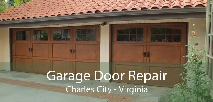Garage Door Repair Charles City - Virginia