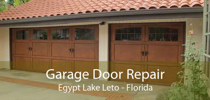 Garage Door Repair Egypt Lake Leto - Florida