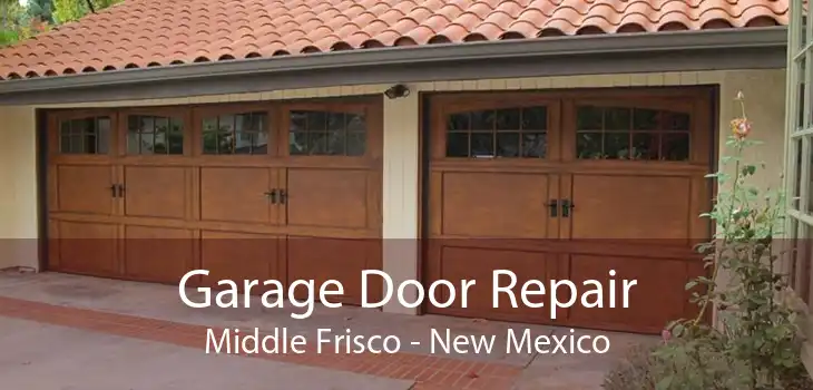 Garage Door Repair Middle Frisco - New Mexico