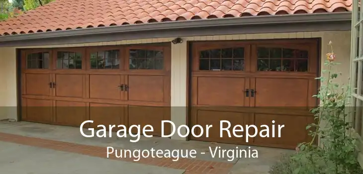 Garage Door Repair Pungoteague - Virginia