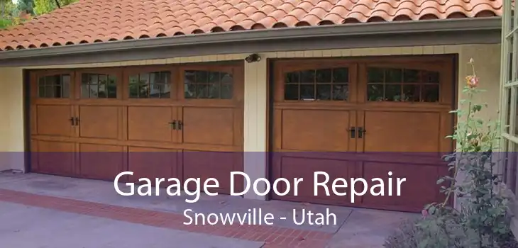 Garage Door Repair Snowville - Utah