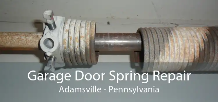Garage Door Spring Repair Adamsville - Pennsylvania