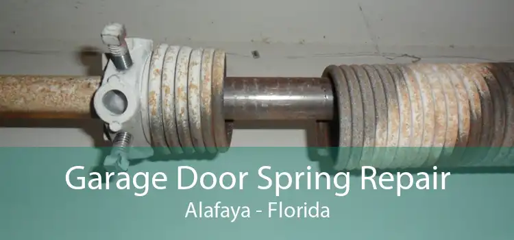 Garage Door Spring Repair Alafaya - Florida