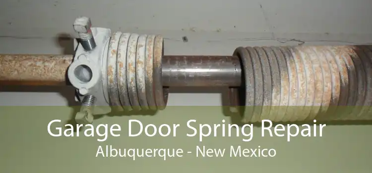 Garage Door Spring Repair Albuquerque - New Mexico
