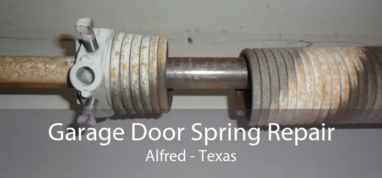 Garage Door Spring Repair Alfred - Texas