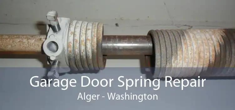 Garage Door Spring Repair Alger - Washington