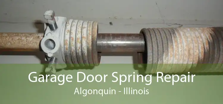 Garage Door Spring Repair Algonquin - Illinois