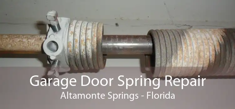 Garage Door Spring Repair Altamonte Springs - Florida