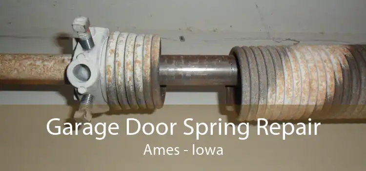 Garage Door Spring Repair Ames - Iowa