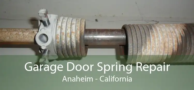 Garage Door Spring Repair Anaheim - California