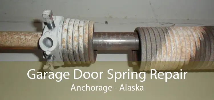 Garage Door Spring Repair Anchorage - Alaska