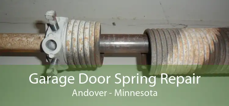 Garage Door Spring Repair Andover - Minnesota