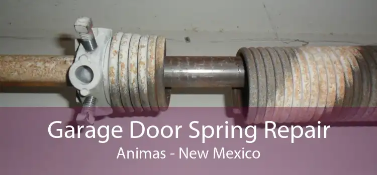 Garage Door Spring Repair Animas - New Mexico