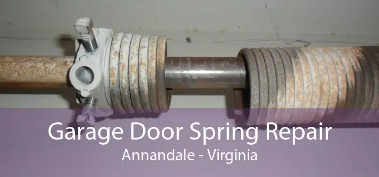 Garage Door Spring Repair Annandale - Virginia