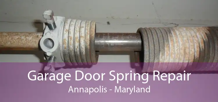 Garage Door Spring Repair Annapolis - Maryland
