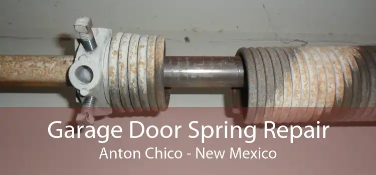 Garage Door Spring Repair Anton Chico - New Mexico