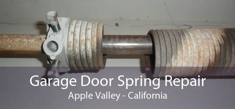 Garage Door Spring Repair Apple Valley - California