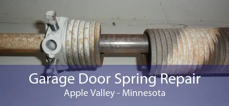 Garage Door Spring Repair Apple Valley - Minnesota