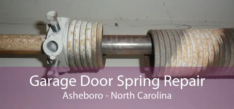 Garage Door Spring Repair Asheboro - North Carolina
