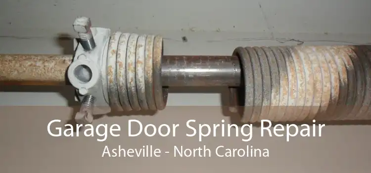 Garage Door Spring Repair Asheville - North Carolina