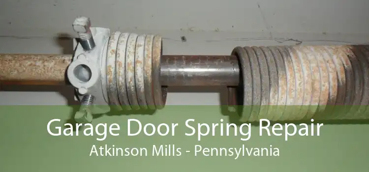 Garage Door Spring Repair Atkinson Mills - Pennsylvania
