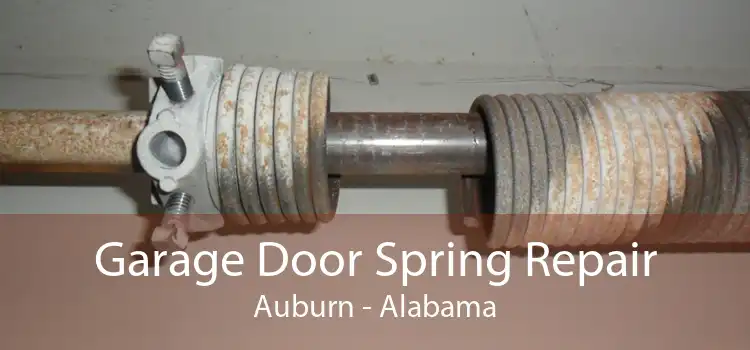 Garage Door Spring Repair Auburn - Alabama