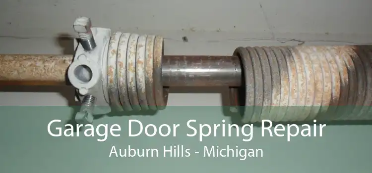 Garage Door Spring Repair Auburn Hills - Michigan