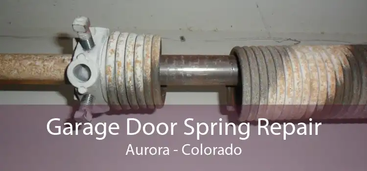 Garage Door Spring Repair Aurora - Colorado