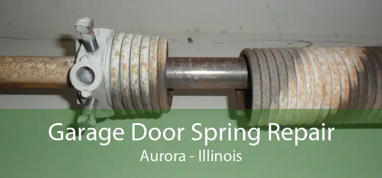 Garage Door Spring Repair Aurora - Illinois