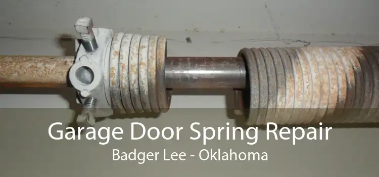 Garage Door Spring Repair Badger Lee - Oklahoma