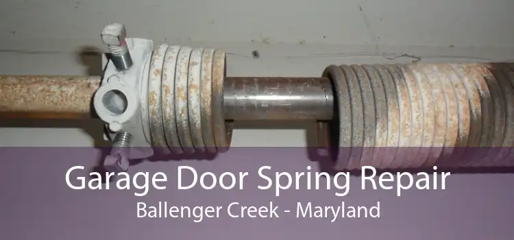 Garage Door Spring Repair Ballenger Creek - Maryland