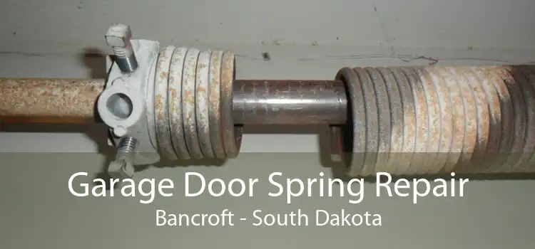 Garage Door Spring Repair Bancroft - South Dakota