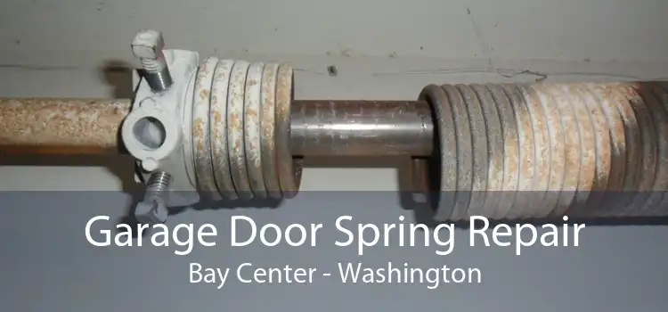 Garage Door Spring Repair Bay Center - Washington