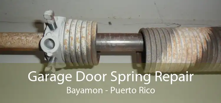 Garage Door Spring Repair Bayamon - Puerto Rico