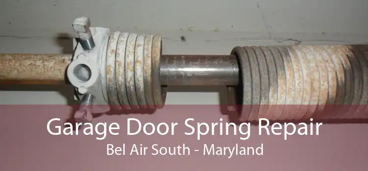 Garage Door Spring Repair Bel Air South - Maryland